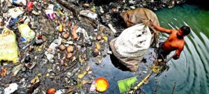 Desechos 0625f