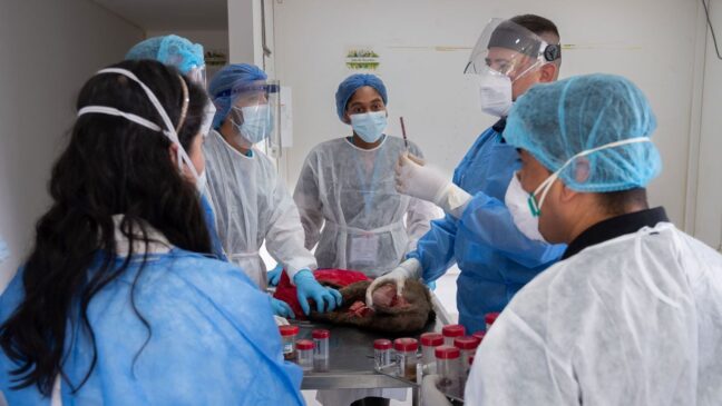 Avances de la OPS en las Américas en 2025: protegiendo la salud de todos