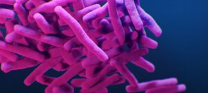 Bacterias 0424f