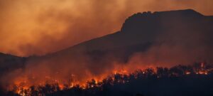 Incendios 0224f