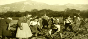 Menores Laburando