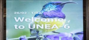 Unea6 0224f