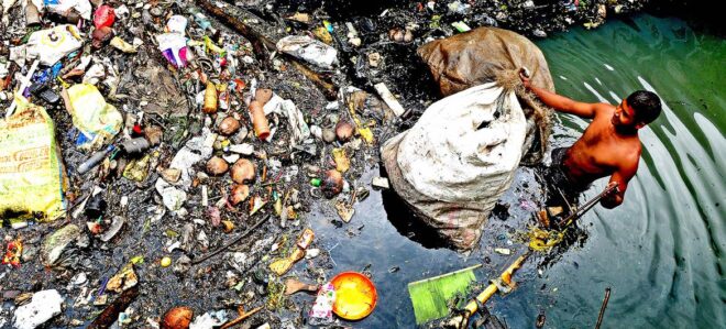 Día Mundial del Medio Ambiente: Cada persona consume más de 50.000 partículas de plástico al año