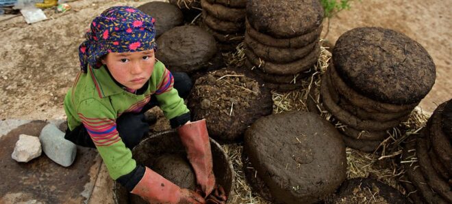 El mundo no ha alcanzado su objetivo de eliminar el trabajo infantil: 138 millones de niños aún trabajan
