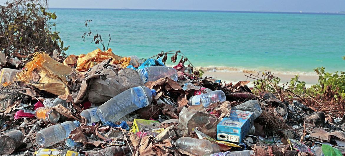 Basura 0825f