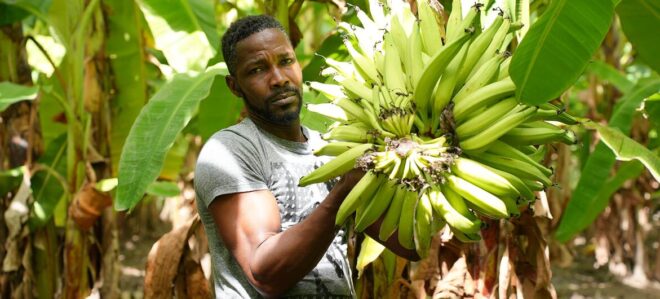 América Latina y el Caribe se acostumbran a no crecer mucho económicamente