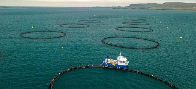 La acuicultura mundial marca récord, con América Latina como gran exportadora