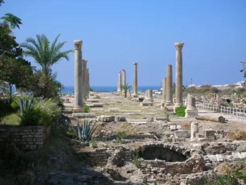 Seis sitios en grave riesgo se incorporan a la Lista del Patrimonio Mundial en Peligro de la UNESCO