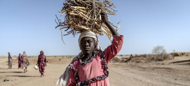 A medida que las guerras se extienden, el sistema alimentario mundial se desmorona