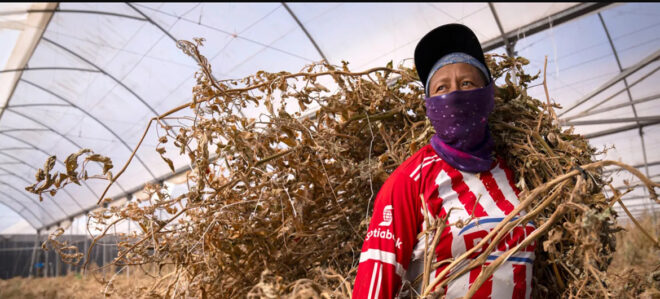 OIT: El Niño amenaza el empleo y los ingresos de trabajadores en América Latina y el Caribe