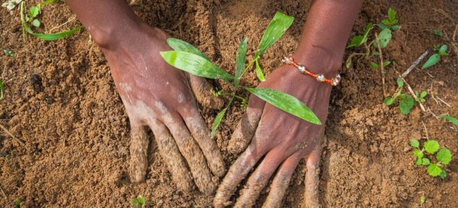 La degradación de la tierra cuesta al mundo casi un billón de dólares al año