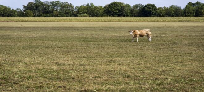 PA30+: La agricultura suiza no está adaptada al cambio climático