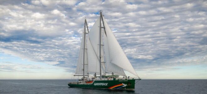 Reducción de plantilla y reorganización en la ONG Greenpeace de Suiza